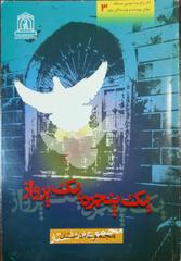 یک پنجره یک پرواز